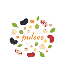 PULSES